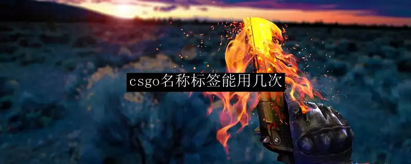 csgo名称标签能用几次