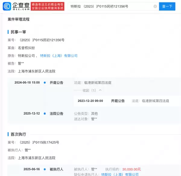 特斯拉索赔500万后续：高管告选车网，法院判赔3万元