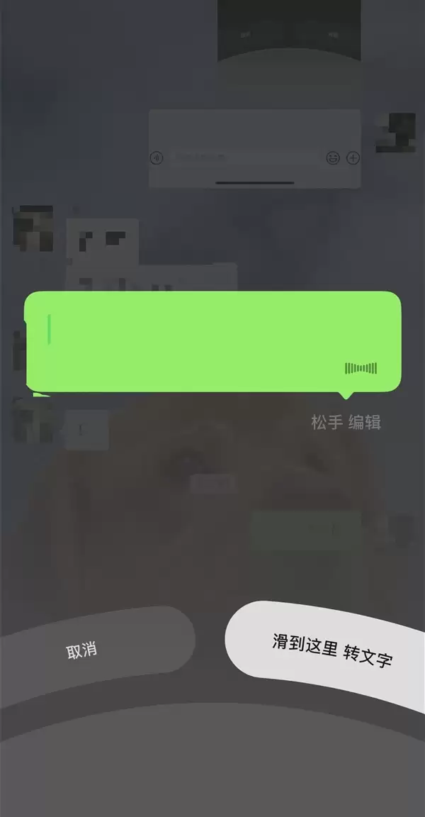 微信iOS版长按转文字功能界面截图